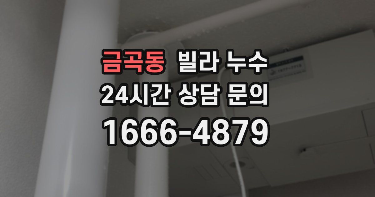 금곡동 빌라 누수