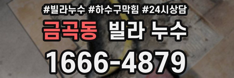 금곡동 빌라 누수