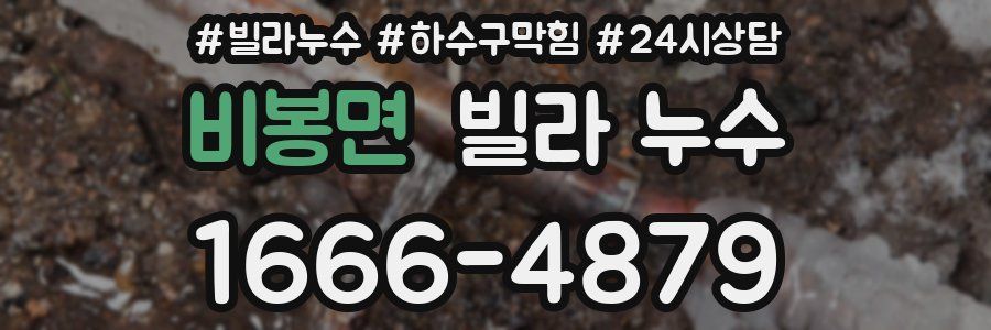 비봉면 빌라 누수