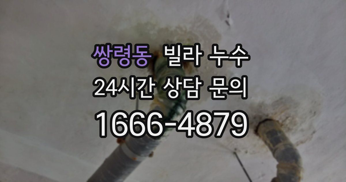 쌍령동 빌라 누수