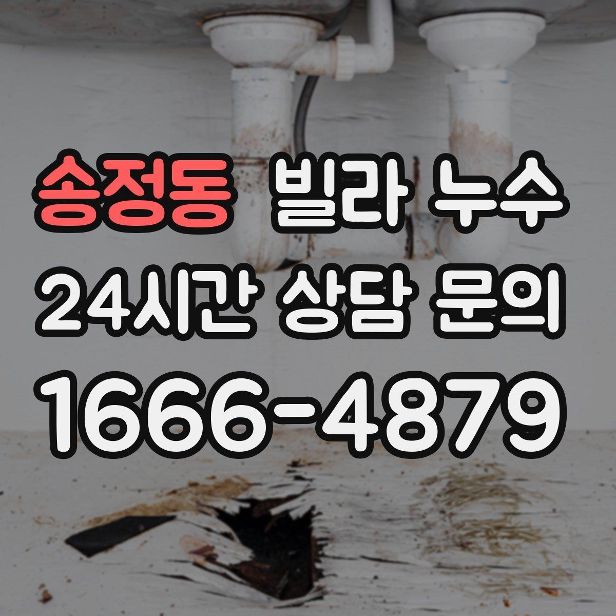 송정동 빌라 누수 욕실 타일 사이 물스밈이 늘었다면
