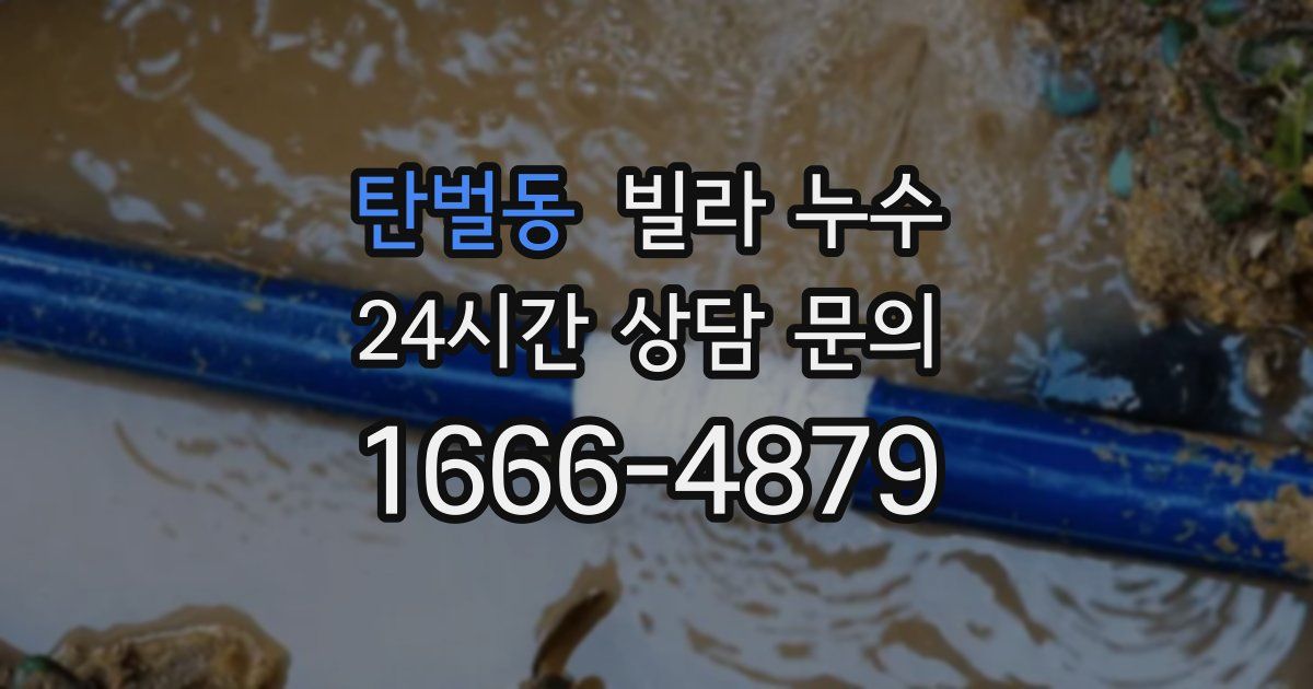 탄벌동 빌라 누수