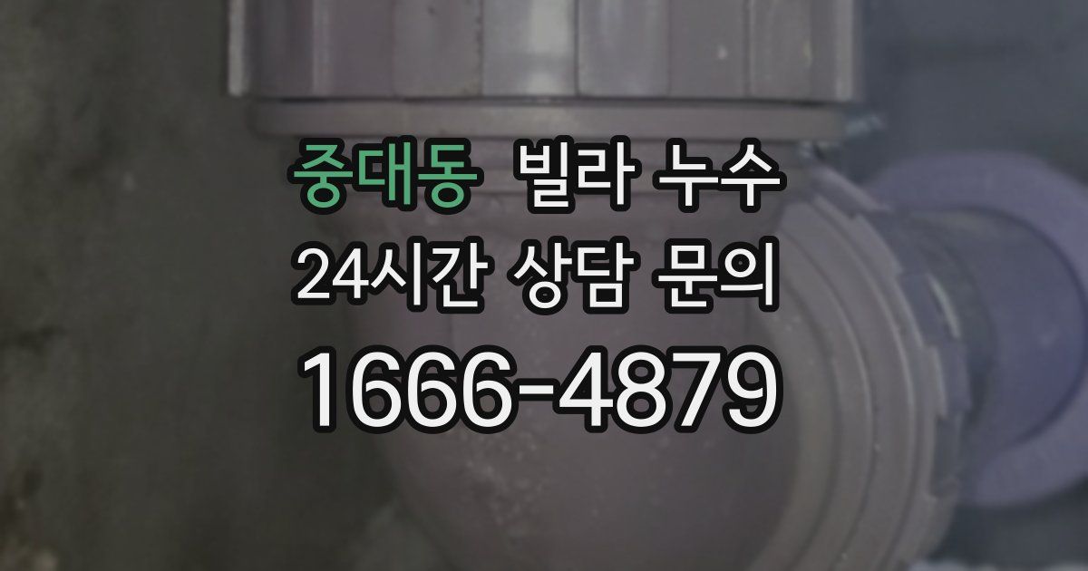 중대동 빌라 누수