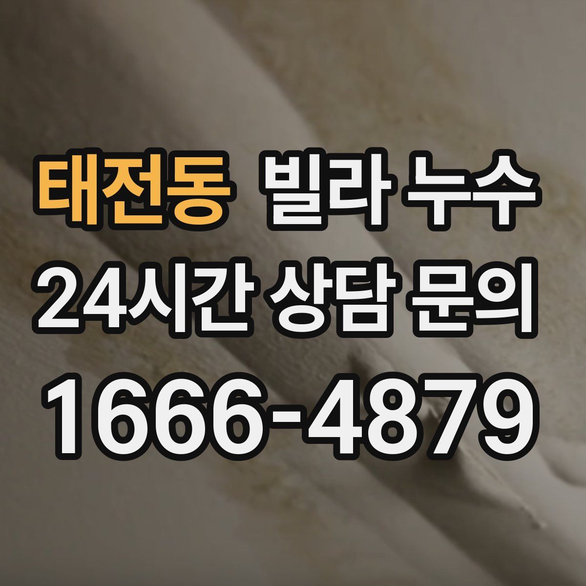 태전동 빌라 누수