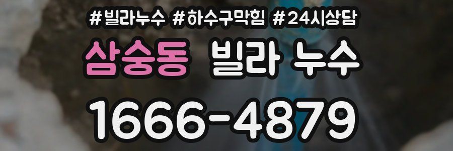 삼숭동 빌라 누수