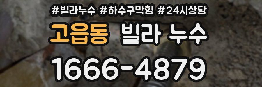 고읍동 빌라 누수