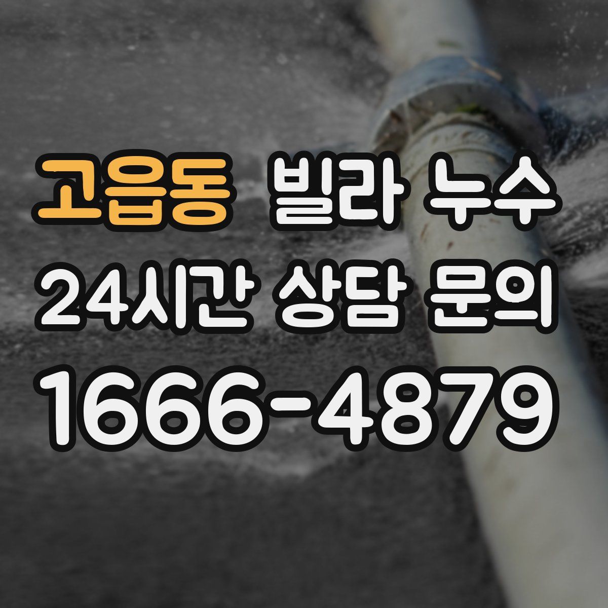 고읍동 빌라 누수