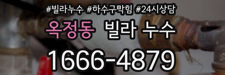 옥정동 빌라 누수