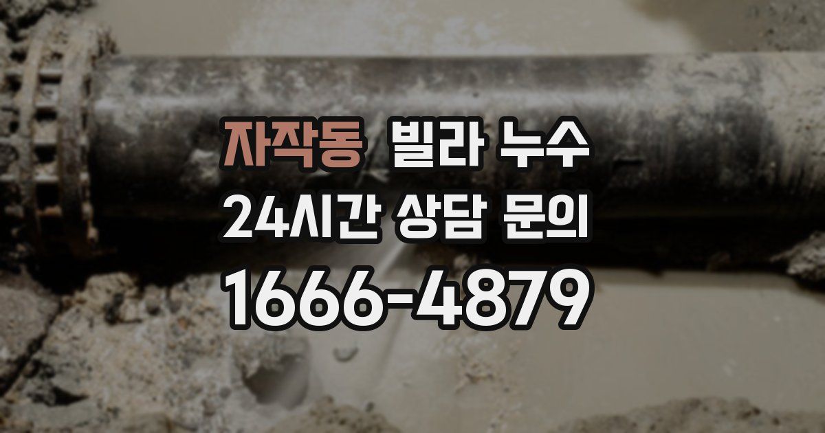 자작동 빌라 누수