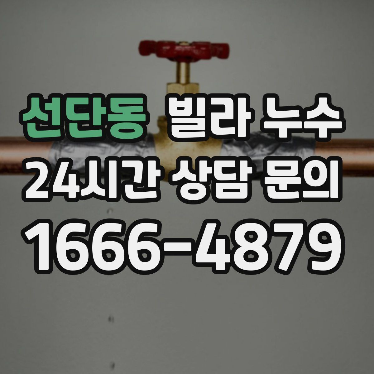 선단동 빌라 누수 변기 뒤쪽 물기와 냄새가 같이 느껴진다면