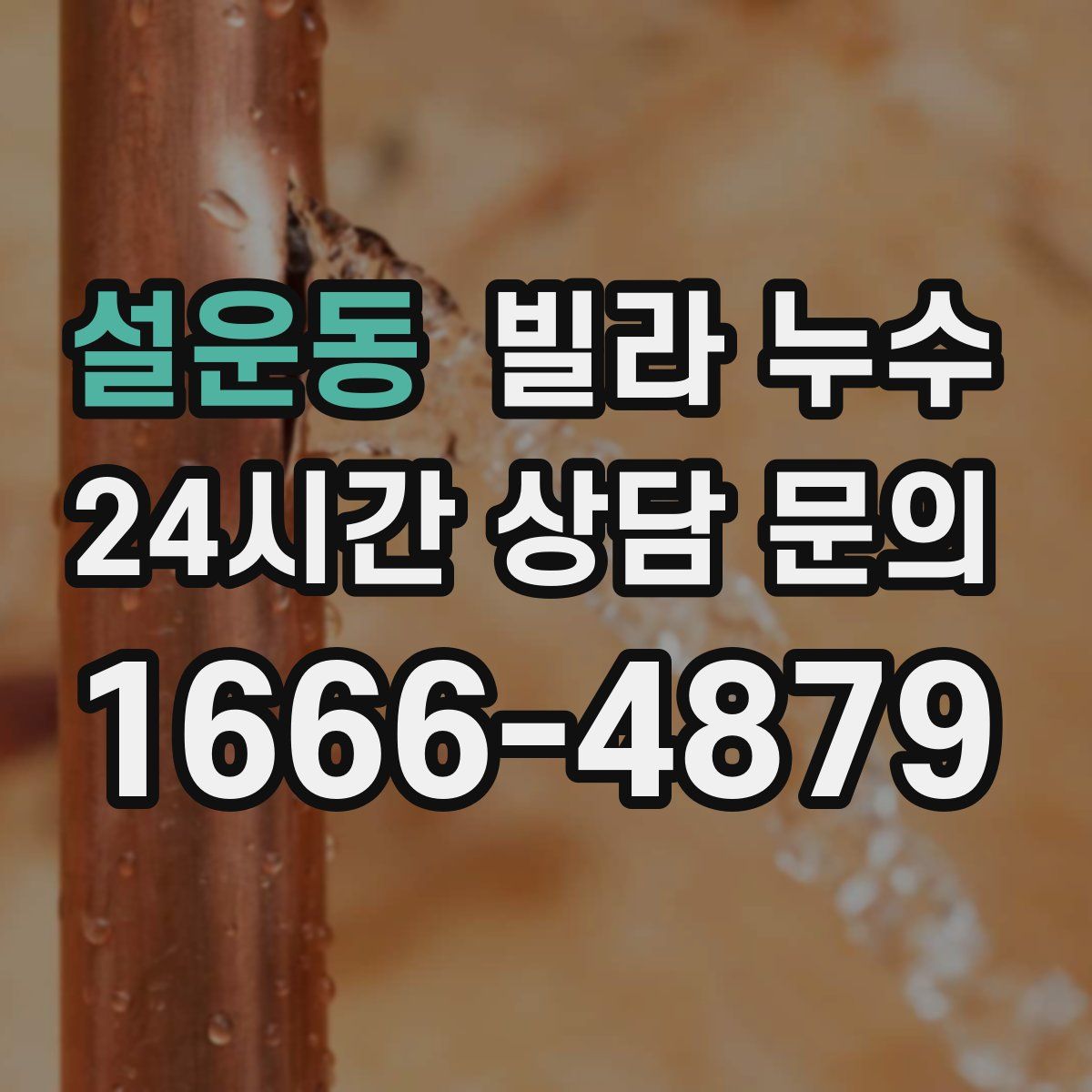 설운동 빌라 누수