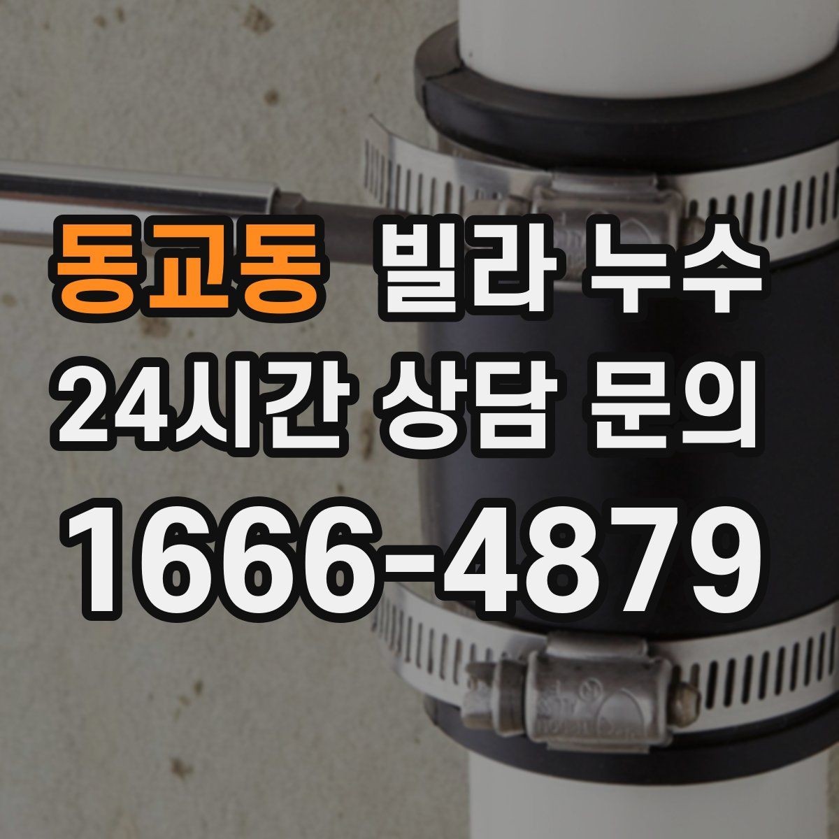 동교동 빌라 누수 한 번 멈췄다가 다시 젖으면 재점검 필요