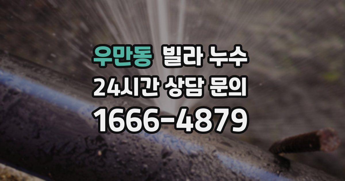 우만동 빌라 누수