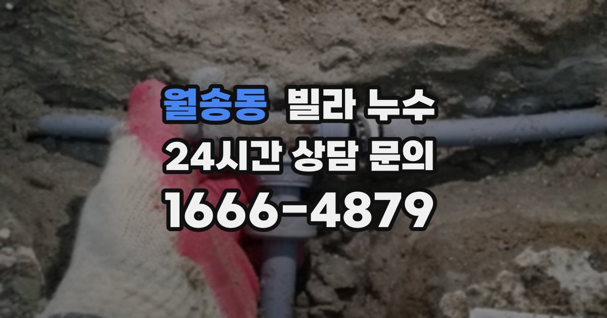 월송동 빌라 누수