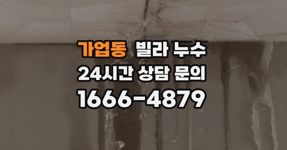 가업동 빌라 누수