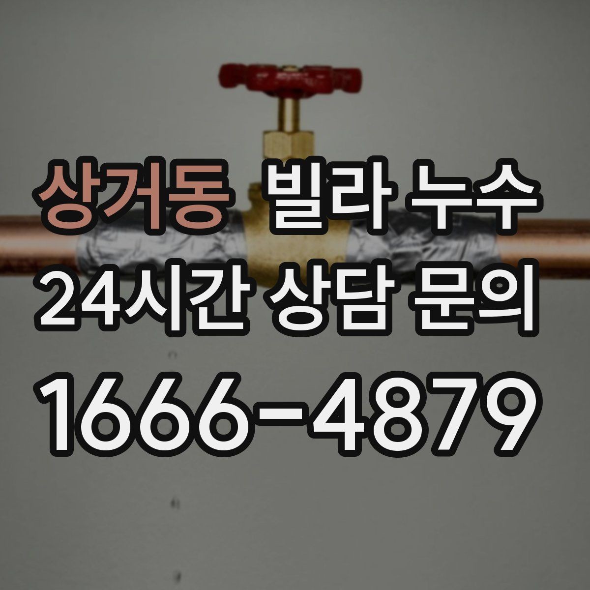 상거동 빌라 누수 세탁실 배수구가 넘치면 누수처럼 보일 수 있어요