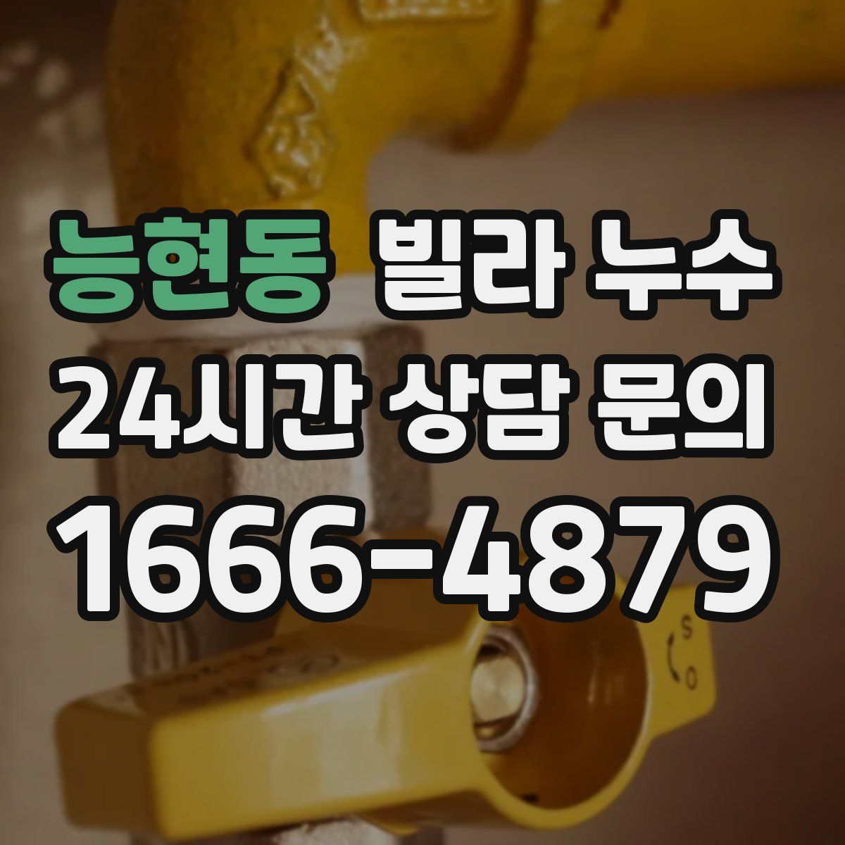 능현동 빌라 누수