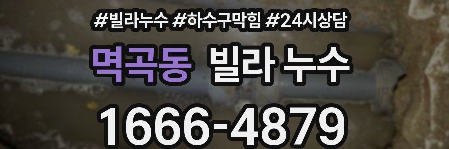 멱곡동 빌라 누수