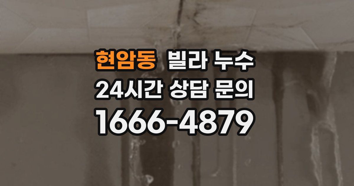 현암동 빌라 누수
