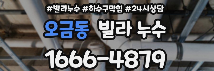 오금동 빌라 누수