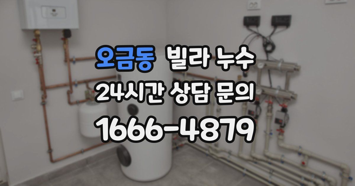 오금동 빌라 누수