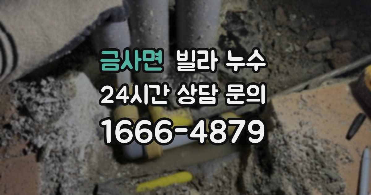 금사면 빌라 누수