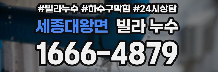 세종대왕면 빌라 누수