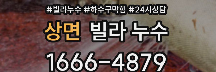 상면 빌라 누수