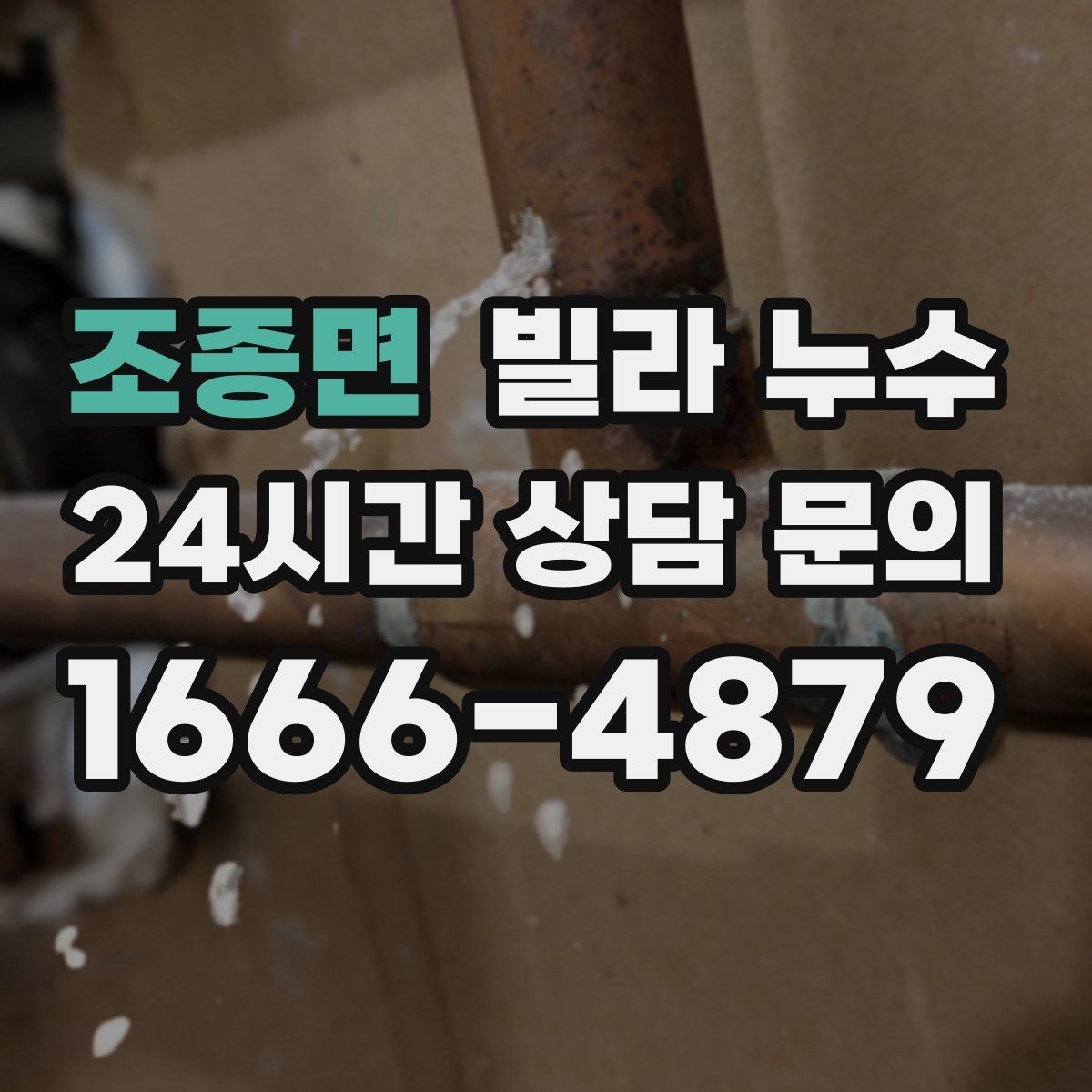 조종면 빌라 누수 세탁실 배수구 역류로 바닥이 젖는다면