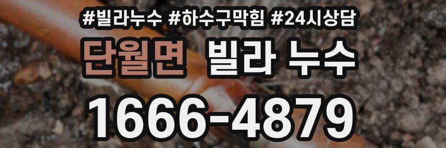 단월면 빌라 누수