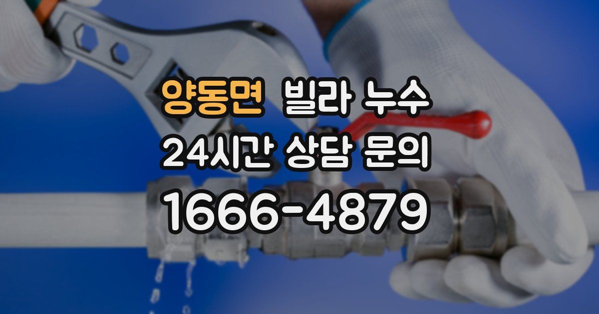 양동면 빌라 누수