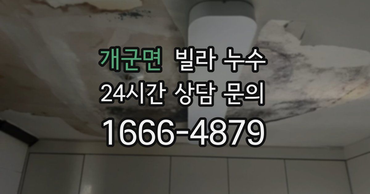 개군면 빌라 누수