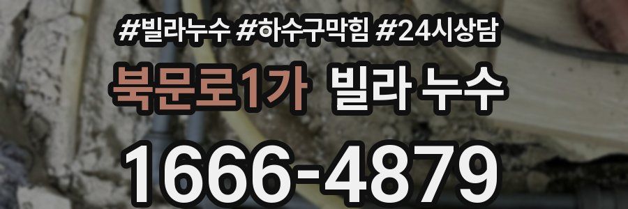 북문로1가 빌라 누수