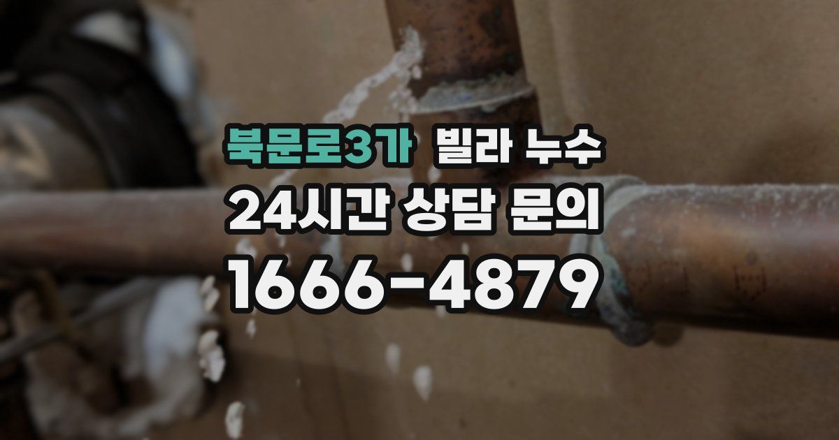 북문로3가 빌라 누수