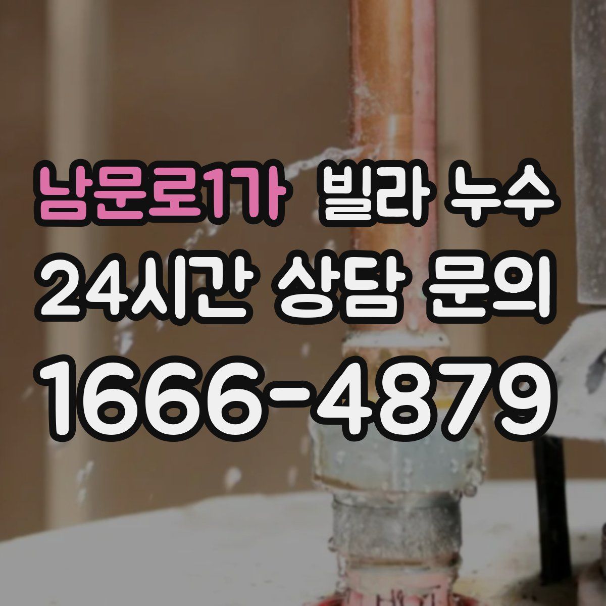 남문로1가 빌라 누수