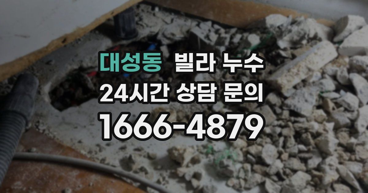 대성동 빌라 누수