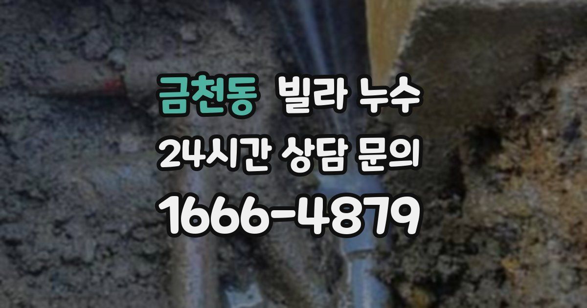 금천동 빌라 누수