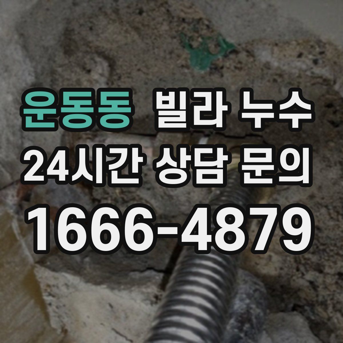 운동동 빌라 누수