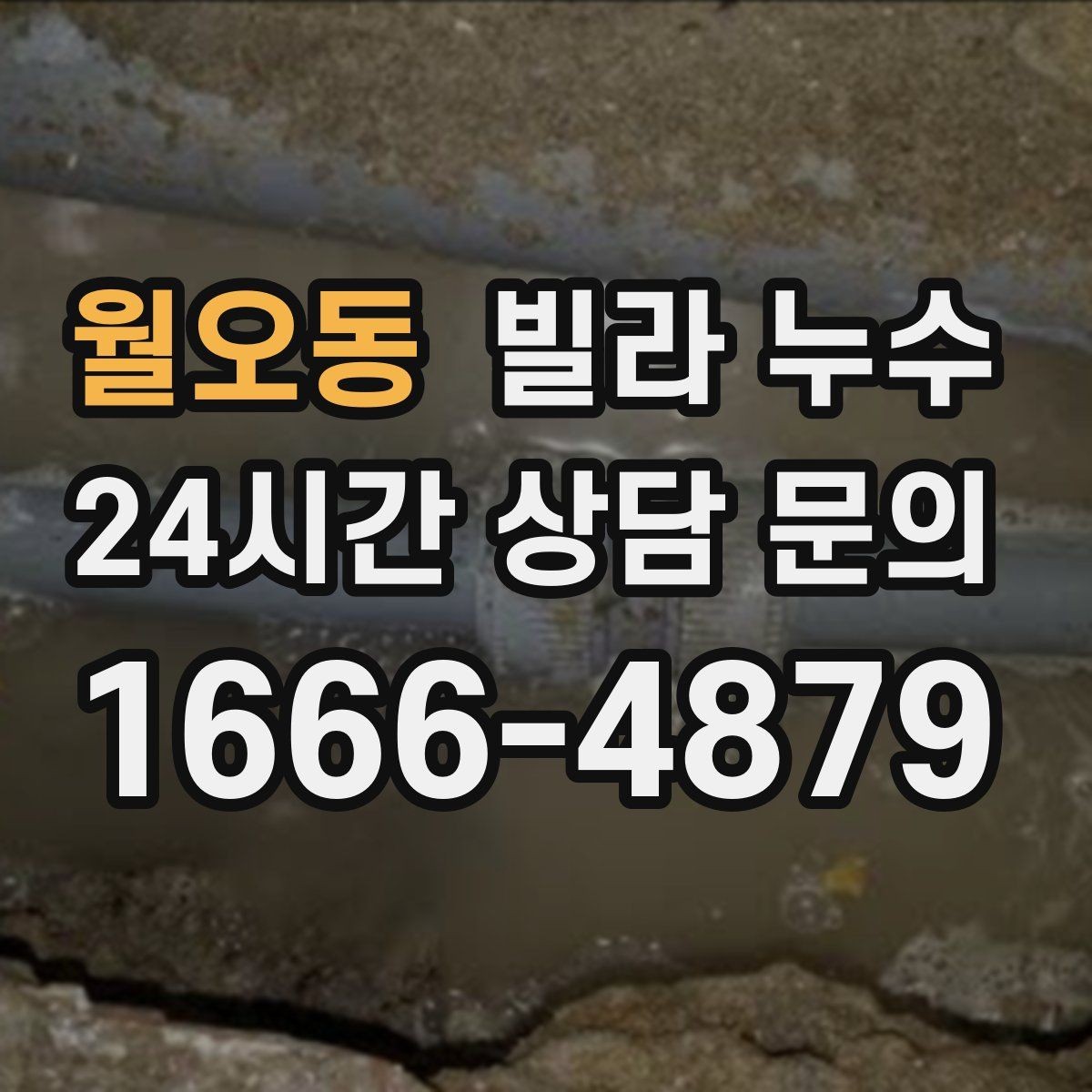 월오동 빌라 누수 베란다 물고임이 실내 누수처럼 보일 때