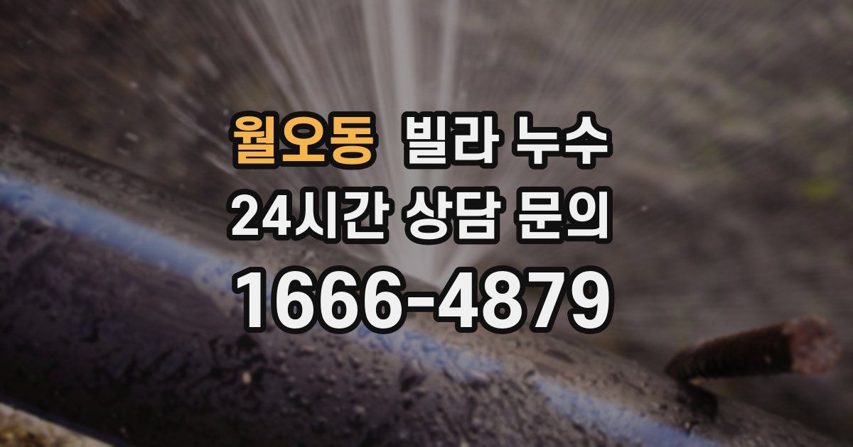 월오동 빌라 누수