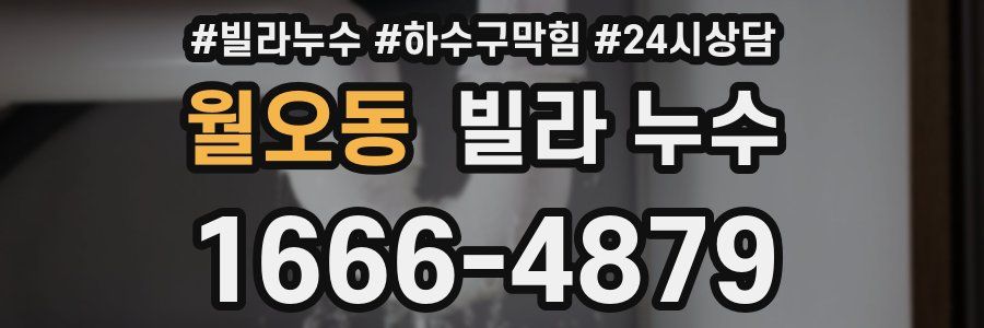 월오동 빌라 누수