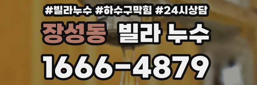 장성동 빌라 누수