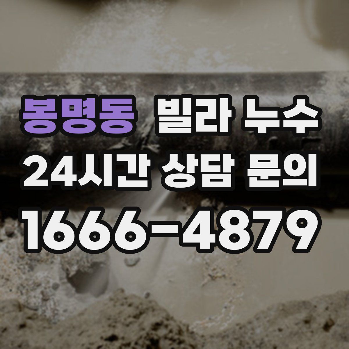 봉명동 빌라 누수