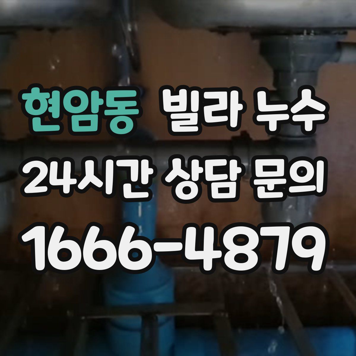 현암동 빌라 누수