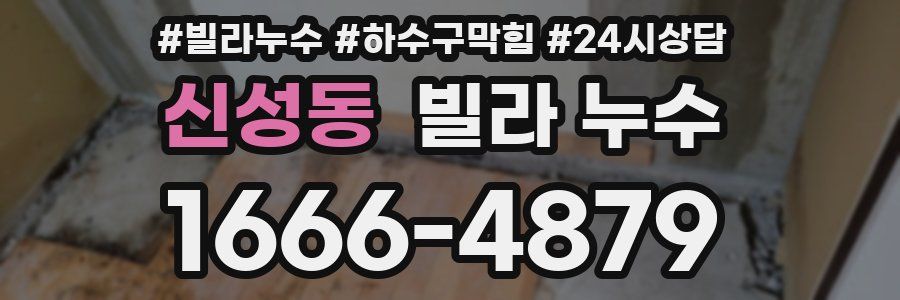 신성동 빌라 누수
