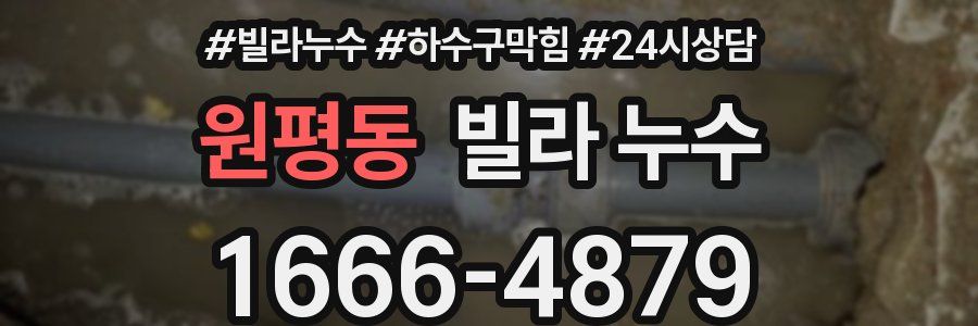 원평동 빌라 누수