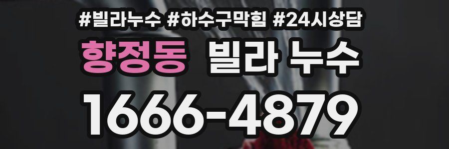 향정동 빌라 누수