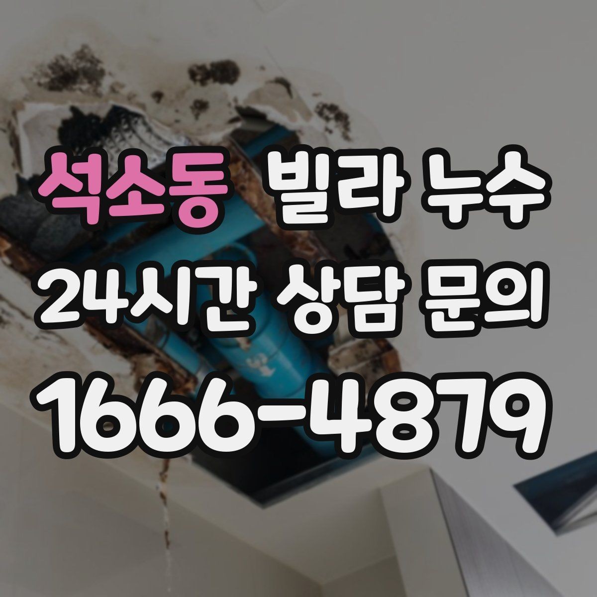 석소동 빌라 누수 세탁실 바닥 배수구가 넘칠 때 대처