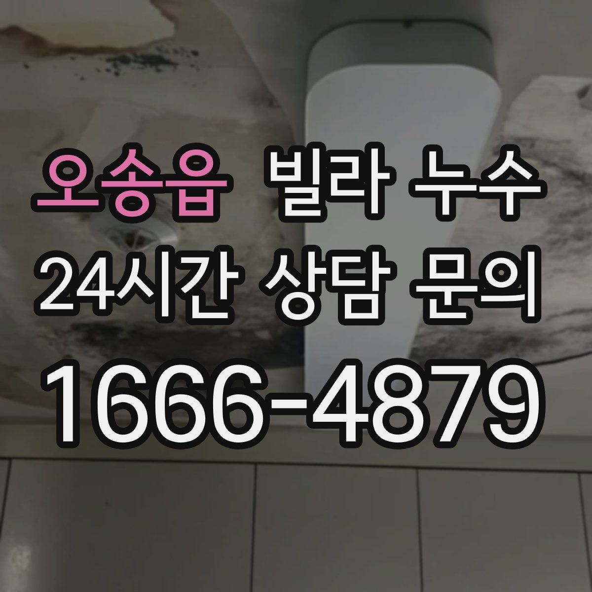 오송읍 빌라 누수