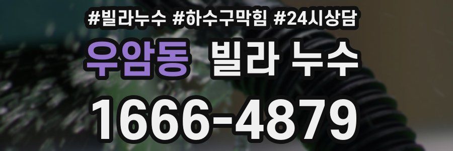 우암동 빌라 누수